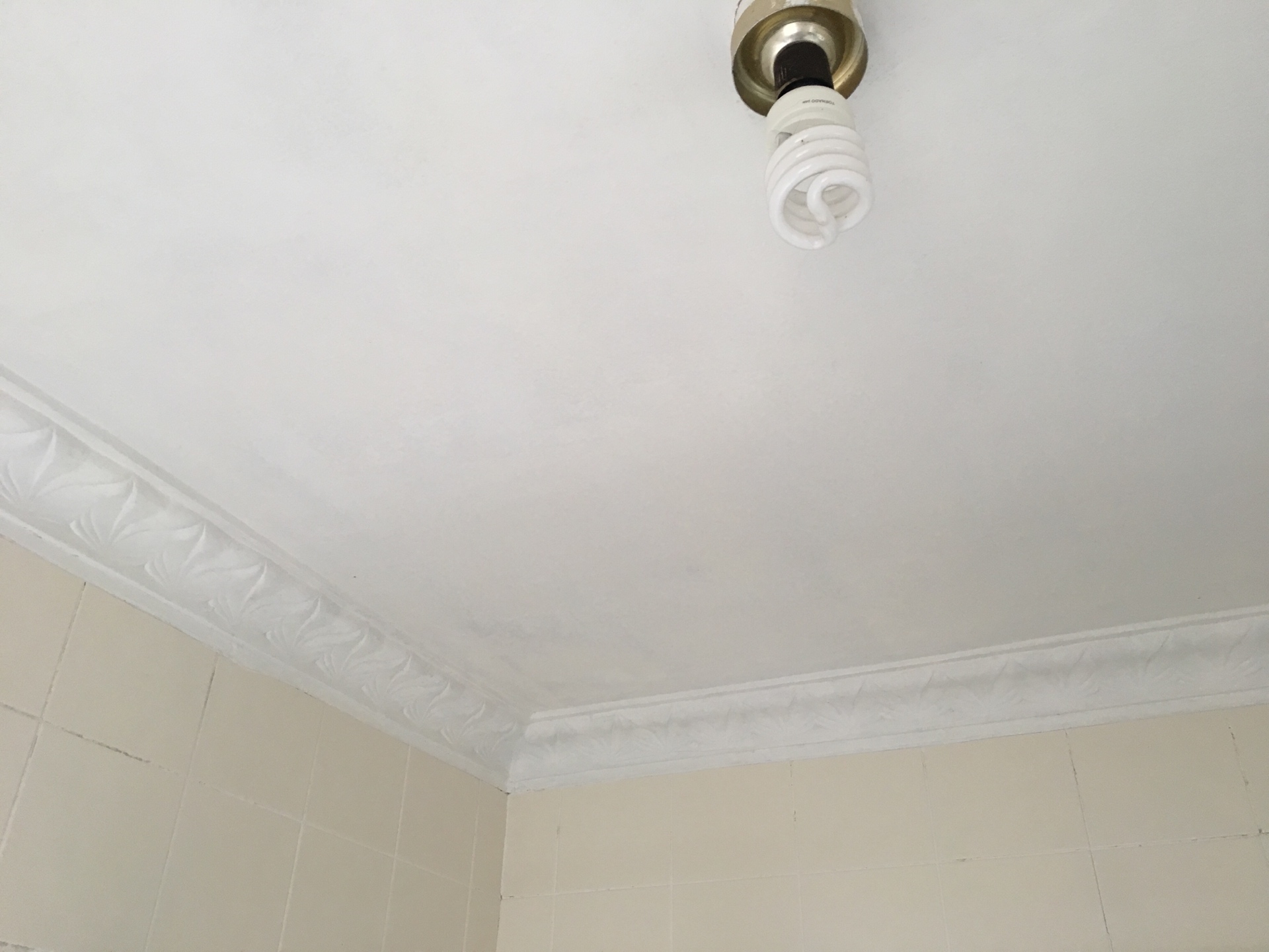 Mould Removal Central Coast