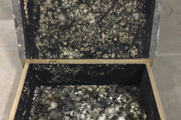 green mould growing on jewellery box
