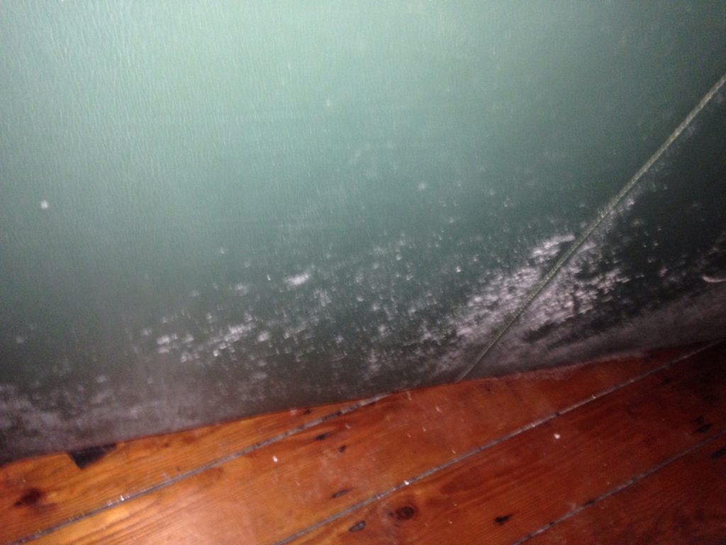 White mould growing on leather couch side