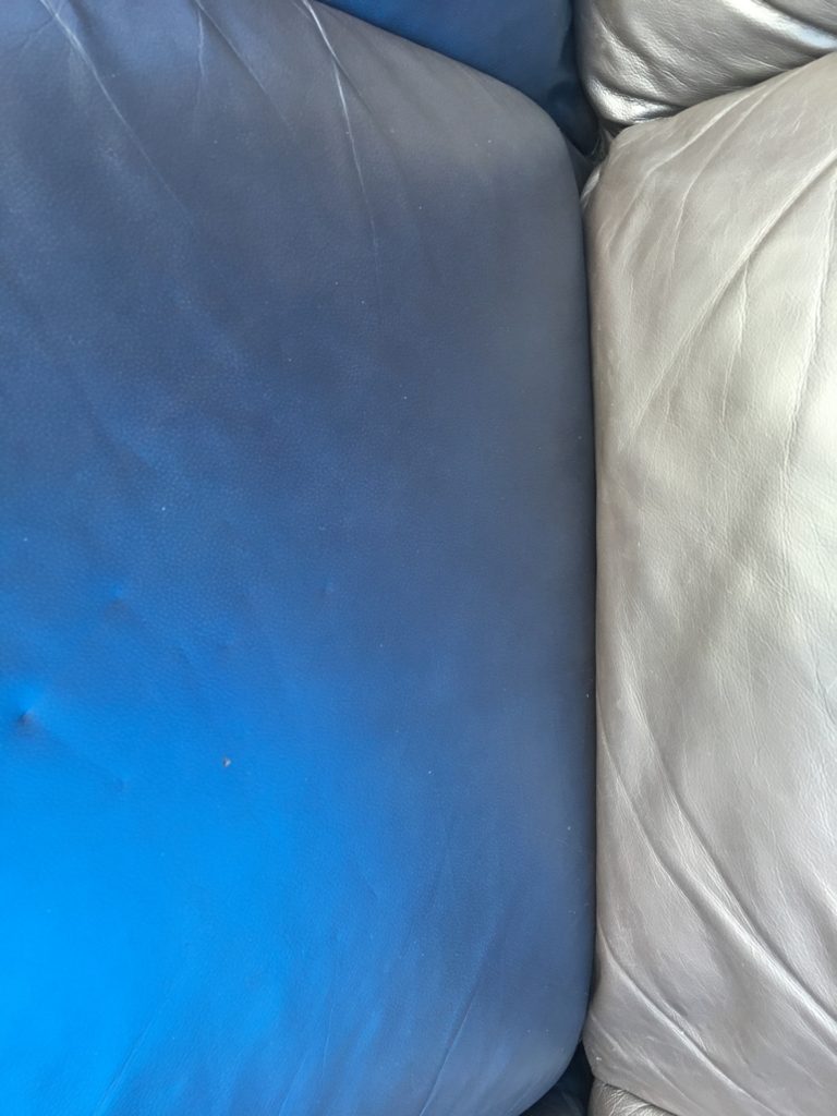 Mould removal from leather couch cushion