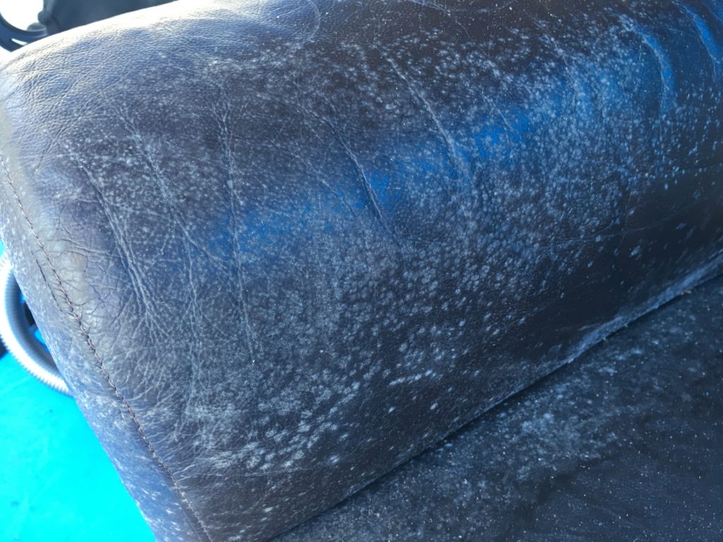 Mould removal from leather couch arm